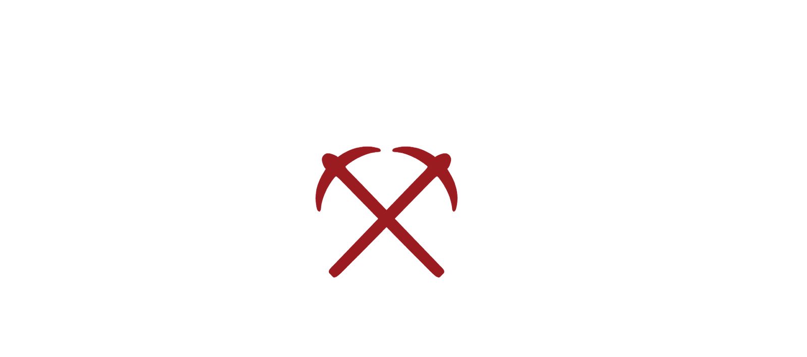 Tqibuli Coal logo